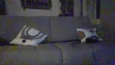 tchoop64 online show from December 21, 8:26 pm