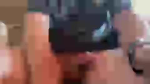 teemilton online show from August 1, 8:43 pm