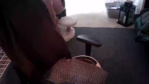 teemo337122 online show from February 12, 1:06 pm