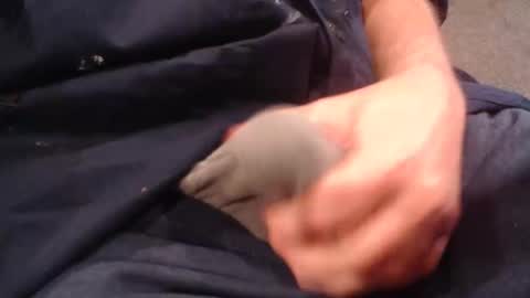 tell_me_how_to_cum online show from November 8, 8:45 pm