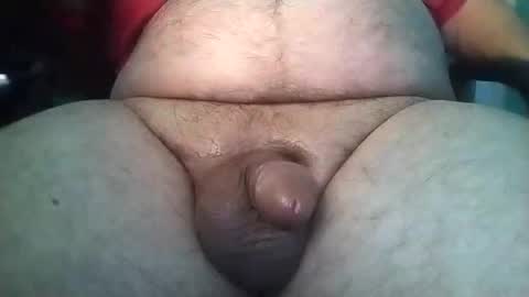 Templargeor online show from February 3, 3:09 am