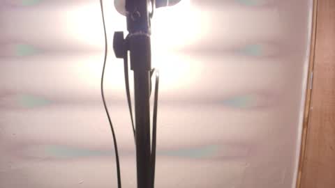 Terra Elowen online show from February 25, 11:25 am