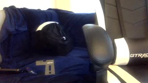 tevvdaren online show from November 17, 5:15 pm