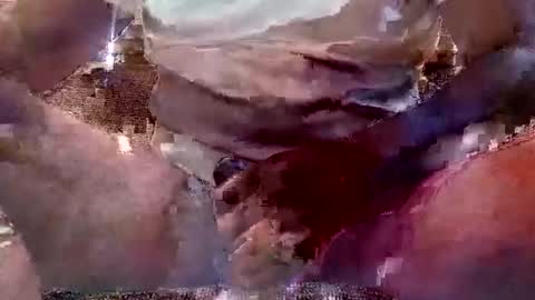 That Guy J online show from February 11, 1:51 pm