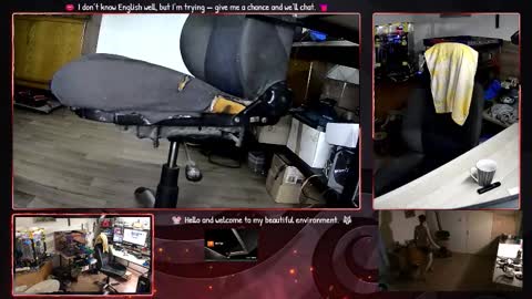 Michal online show from November 4, 6:31 pm