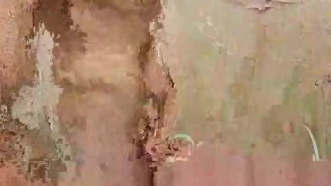 the1st_play_girl online show from December 30, 6:27 pm