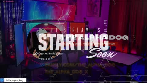 Snapshot of the_alpha_dog_xxx chatting on February 27, 2:57 am the_alpha_dog_xxx online show from February 27, 2:57 am
