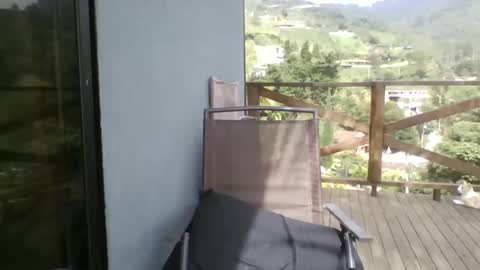 walkers online show from April 24, 2:19 pm