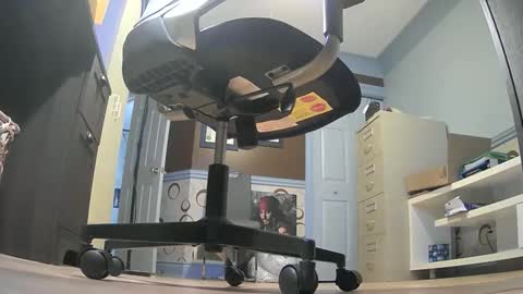 thecowboy_74 online show from November 9, 4:27 am