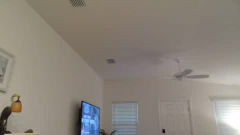 Dominick online show from July 6, 11:06 pm