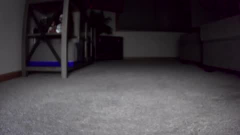 thegreat6268469 online show from December 24, 10:44 am