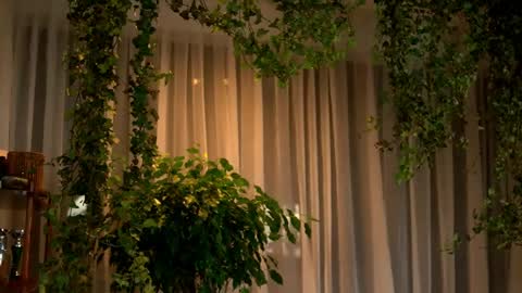 Madison online show from April 1, 2:56 am