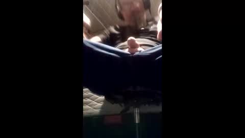 thickwhiteboydick online show from January 7, 7:46 am