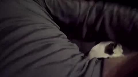 Thirsty4itall online show from November 30, 8:21 am