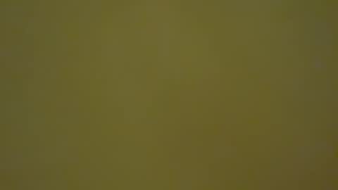 thomasborre online show from October 15, 2:18 pm