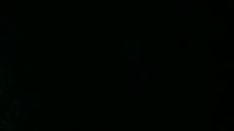 Throbber online show from October 2, 12:26 pm