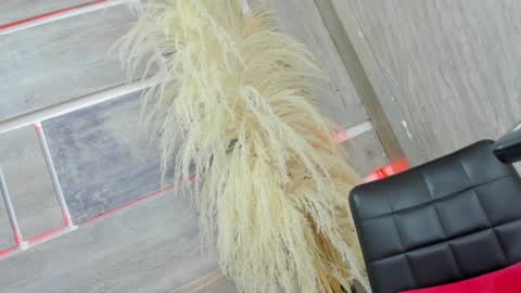 Tiffany online show from February 5, 7:50 am