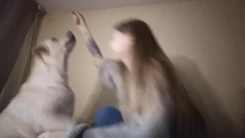 Hi Im Carry 18 years old online show from December 2, 6:22 am