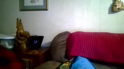 Vols online show from March 19, 2:06 am