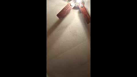 Vols online show from February 3, 12:53 pm