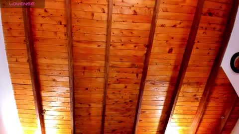   online show from November 13, 2:31 pm