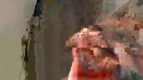 Tony 1019 online show from January 24, 10:21 am