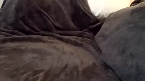 tony_bigwood online show from June 14, 8:22 pm