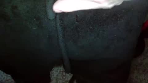 Topg84 online show from December 15, 2:59 pm