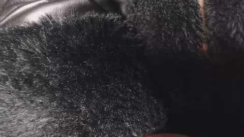 toxca69 online show from February 26, 9:56 am