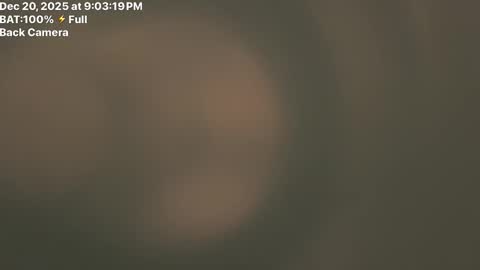 Fembttom online show from December 21, 3:02 am