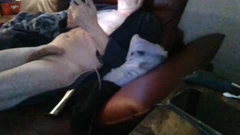 trebgeis1 online show from March 14, 5:44 am