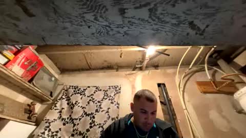 trees559 online show from April 14, 3:32 am