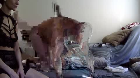 trickquestion online show from March 7, 9:27 pm