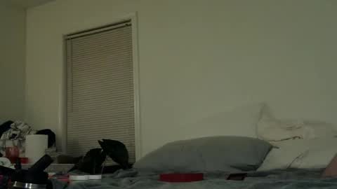 trickquestion online show from March 8, 7:56 am