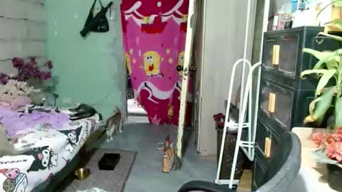 SHENA  online show from February 13, 2:04 am