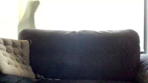 Nick online show from January 8, 2:46 am