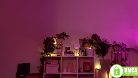 Stranger online show from December 28, 8:04 pm