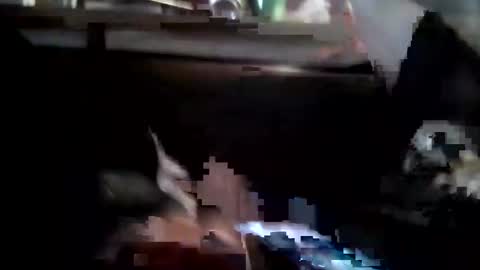 Tintilizing Excitement online show from December 11, 5:47 pm