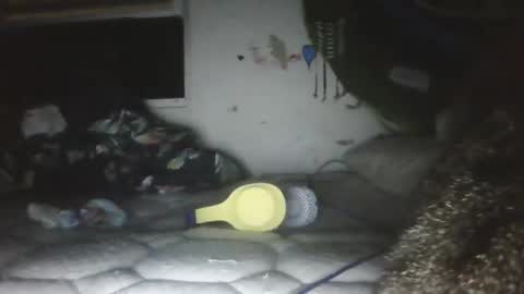 twonkydonk27 online show from December 13, 10:16 pm