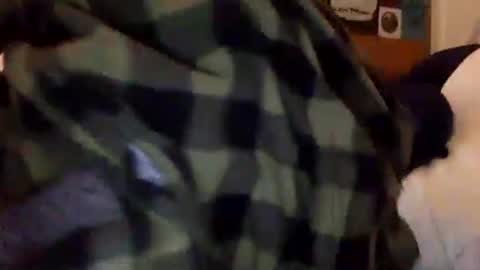 Tyler Durden online show from February 15, 1:38 pm