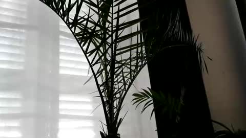 Snapshot of uncutlover1000 chatting on October 2, 7:07 am patricia online show from October 2, 7:07 am