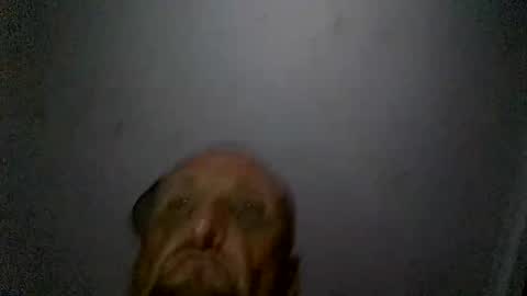 uplatenhorny2379 online show from December 20, 1:51 pm