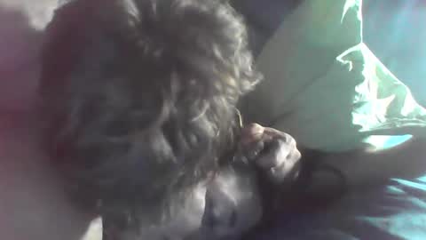 urls2025 online show from December 16, 1:50 pm