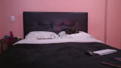 Vamp Noah and Dan online show from February 11, 1:48 pm