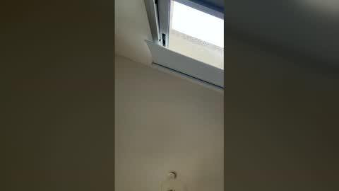 vanessareed_ online show from May 8, 12:00 pm