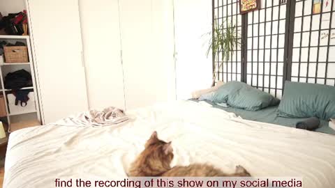 Bella online show from July 28, 11:17 am