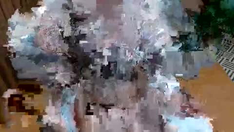 VerityLealia online show from December 2, 3:21 pm