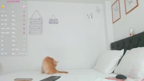 Vero online show from January 10, 2:50 am