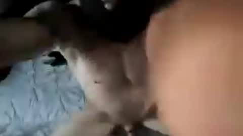 verynicelognlastingcock online show from July 26, 5:43 pm