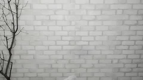 Ana online show from February 20, 7:01 am